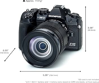 Amazon.com : OM SYSTEM Olympus OM-D E-M1 Mark III Black Camera