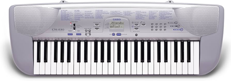 Amazon | CASIO 電子キーボード ベーシック49鍵タイプ CTK-230