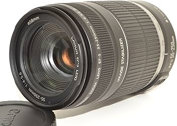 Amazon.co.jp: Canon 望遠レンズ EF-S55-250mm F4-5.6 IS APS-C対応