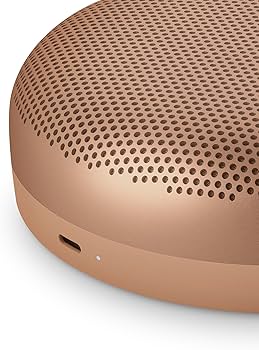 Amazon.com: Bang & Olufsen Beosound A1 3rd Gen Portable Waterproof