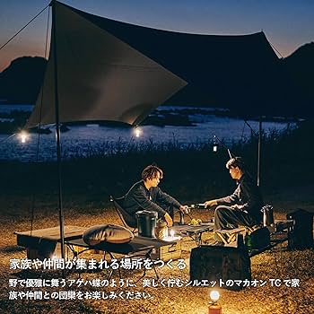 81H29mI9yeL._AC_UF350,