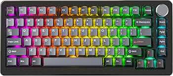 81H4uiM-9KL._AC_UF350,