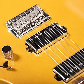 Amazon | Grote GTLM-2 ソリッドボディエレクトリックギター、焼き