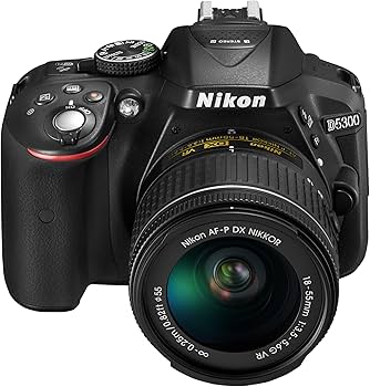Amazon | Nikon デジタル一眼レフカメラ D5300 AF-P 18-55 VR レンズ