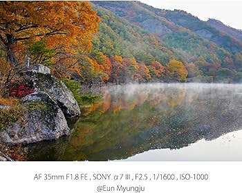 Amazon.co.jp: SAMYANG 単焦点広角レンズ AF 35mm F1.8 FE ソニーαE用