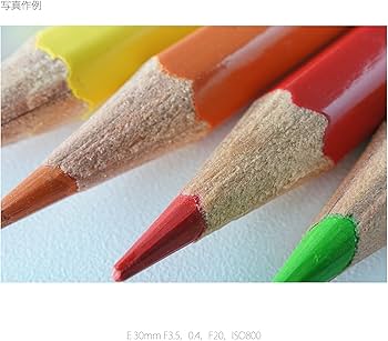 Amazon.co.jp: SONY 単焦点レンズ E 30mm F3.5 Macro ソニー Eマウント