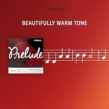 Amazon | D'Addario ダダリオ チェロ弦 J1010 4/4M Prelude Cello