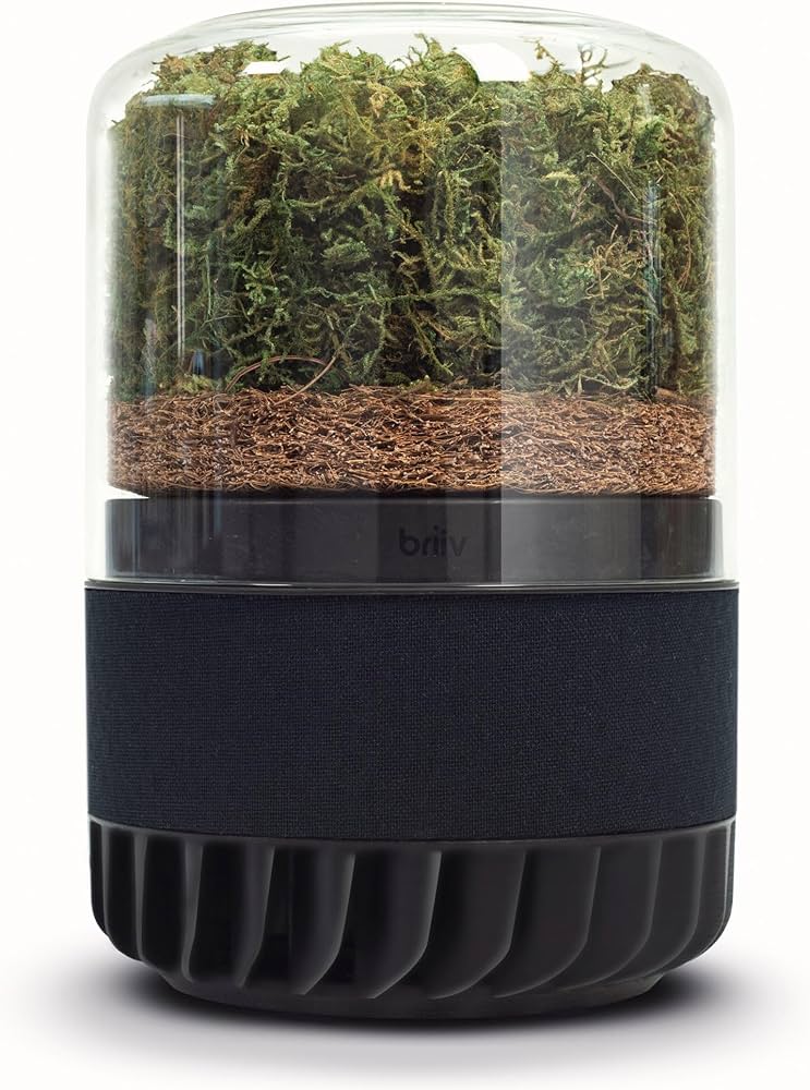 Amazon.co.jp: BRIIV 2 (ブリーヴ) 英国発の自然派エコ空気清浄機 コケ
