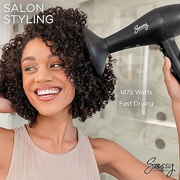 Amazon.com : Sassy Ceramic Ion Hair Dryer, 1875-Watt Salon Dryer