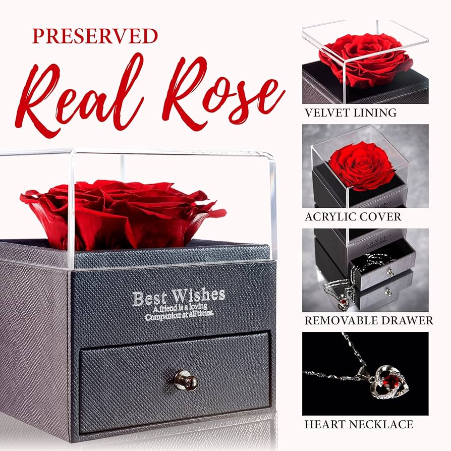 LOVAPPY Eternal Enchanted Preserved Rose with Necklace - Infinity