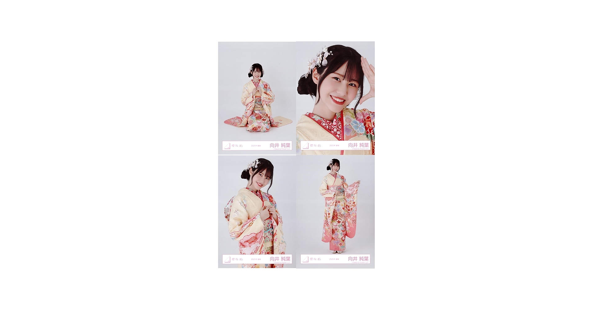 Amazon.co.jp: 櫻坂46 生写真 2025年 振袖 4種コンプ 向井純葉
