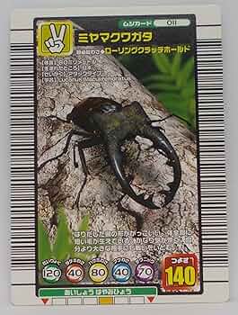 81PCilVEskL._AC_UF350,