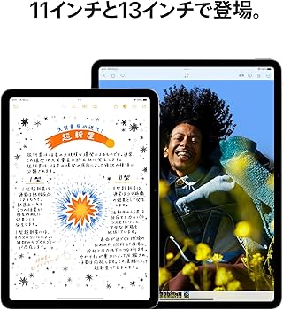 Amazon.co.jp: Apple 2024 11インチiPad Air (Wi-Fi, 256GB) - ブルー