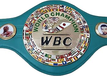 Amazon | WBC チャンピオンシップボクシングベルト 3D レプリカ 大人用