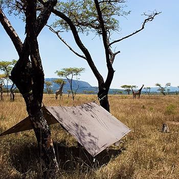 Amazon.com: DD Hammocks - DD Tarp 3x3 - Coyote Brown (10ft x 10ft