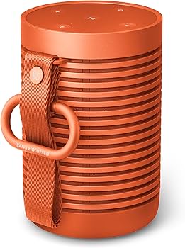 Amazon.com: Bang & Olufsen Beosound Explore - Wireless Portable