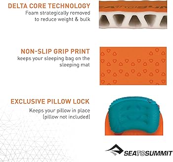 Amazon.co.jp: SEA TO SUMMIT(シートゥサミット) ウルトラライトS.I.