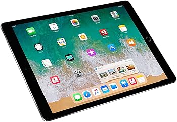 Amazon.com: Apple iPad Pro 12.9-inch 512GB MPKY2LL/A (2nd