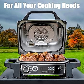Amazon.com: Griddle Plate for Ninja Woodfire Pro Connect XL