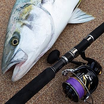 Amazon.co.jp: バリバス(VARIVAS) 2024 アバニ キャスティングPE SMP