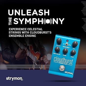 Amazon.com: Strymon Cloudburst Ambient Reverb Guitar Pedal with