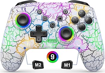 Amazon.com: Gammeefy Switch Controller, Wireless Switch Pro