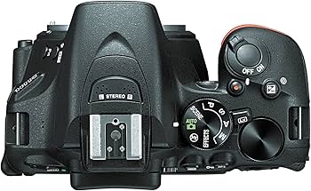 Amazon.com : Nikon D5500 DX-format Digital SLR Body (Black