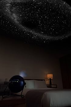 Amazon | HOMESTAR Classic (ホームスター クラシック) メタリック