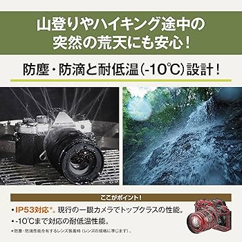 Amazon.co.jp: OM SYSTEM/オリンパス OM-5 ボディー シルバー : DIY