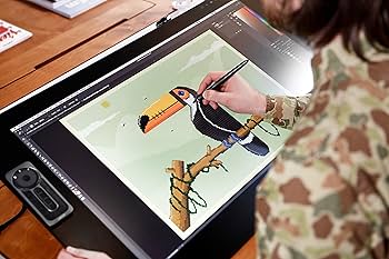 Amazon.co.jp: 【Amazon.co.jp限定】ワコム 液タブ 液晶ペンタブレット