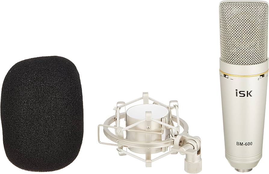Amazon | iSK BM-600 コンデンサーマイク | コンデンサ | 楽器・音響機器