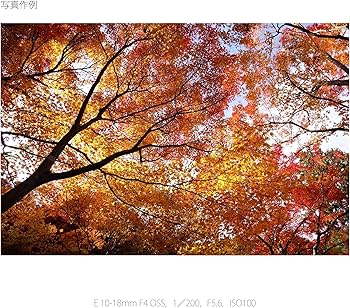 Amazon | SONY 広角ズームレンズ E 10-18mm F4 OSS ソニー Eマウント用