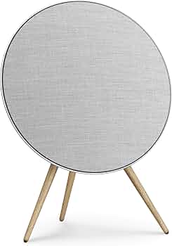 Amazon.com: Bang & Olufsen Beosound A9 (5th Generation) - Iconic