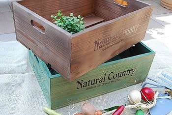 91AU9Jp8GgL._AC_UF350,