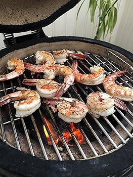 Amazon | Ro mini Grill セラミック製チャコールBBQグリル, グリル