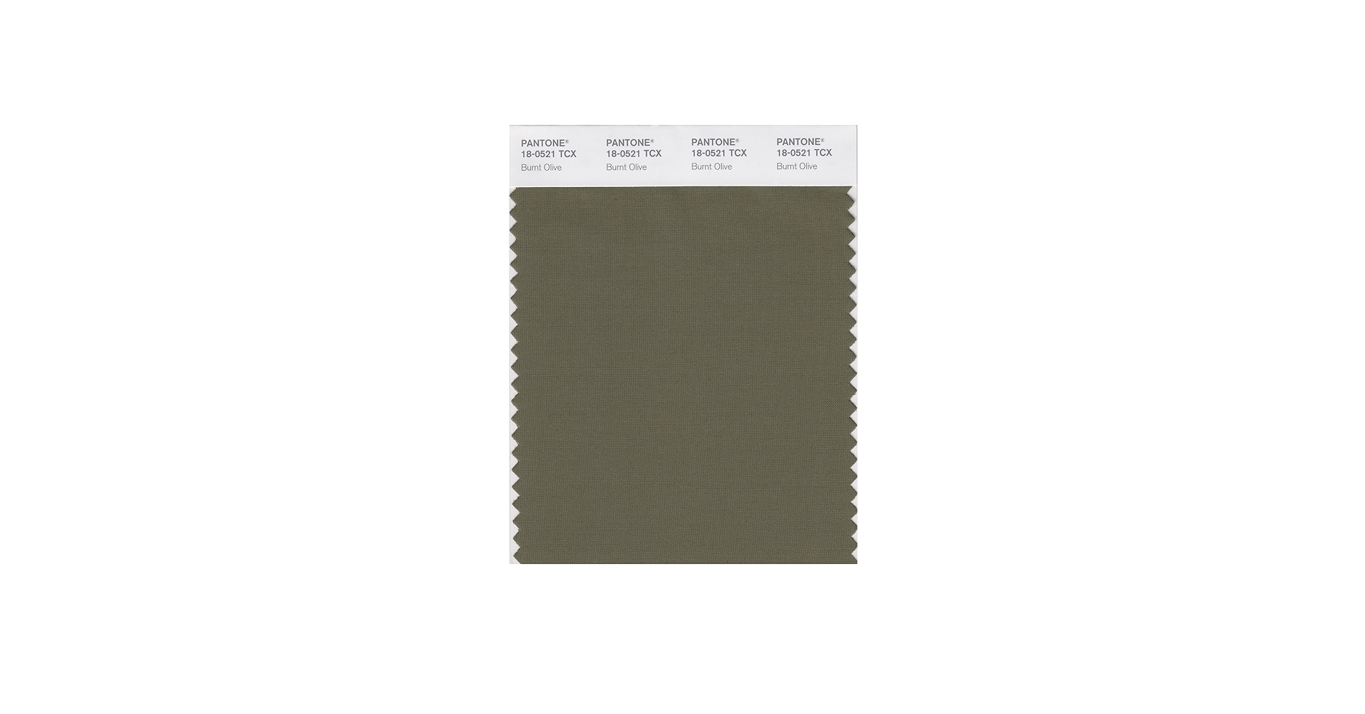 PANTONE Smart 18-0521X Color Swatch Card, Burnt Olive - House