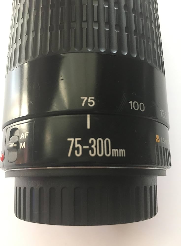 Amazon.com : Canon EF 75-300mm f/4-5.6 III Telephoto Zoom Lens for