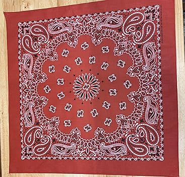 Amazon.com: Hav-A-Hank Terracotta Paisley Bandanna, 22x22, Made in