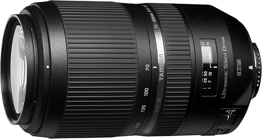 Amazon.com : TAMRON SP 70-300mm F/4-5.6 Di VC USD (Model A030
