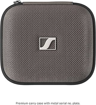 Amazon.co.jp: Sennheiser IE 900 Audiophile インイヤーモニター