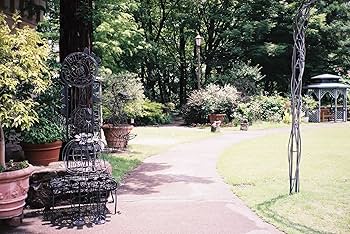Amazon | フィルム カメラ 人気 女子 フィルムカメラ レトロ CONTAX