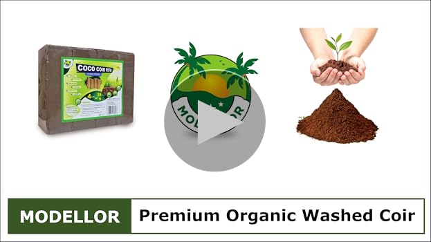 Amazon.com : MODELLOR 4 Bricks (5 lb) Premium Super Washed Coco