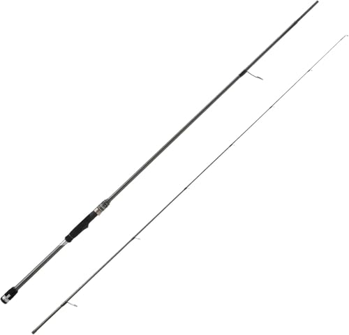 アブ ガルシア ソルティーステージ プロトタイプ ロックフィッシュ