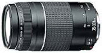 Amazon.com : Canon EF 75-300mm f/4-5.6 III Telephoto Zoom Lens for