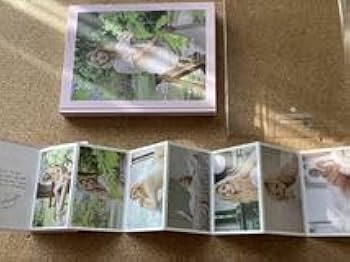 Amazon.co.jp: TWICE Mina - Yes, I am Mina. 1ST PHOTOBOOK (PinkVer