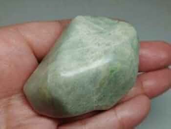 21oEHVydL2L._AC_UF350,