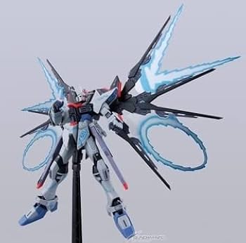 Amazon.co.jp: 大河原邦男展○限定○MG○ストライクフリーダムガンダム