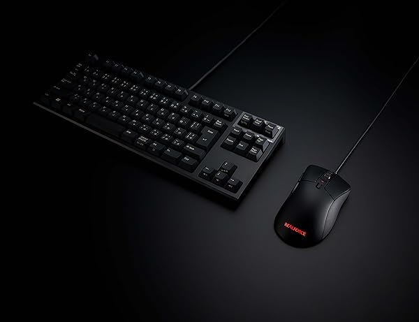 Amazon.co.jp: REALFORCE R3S キーボード 有線 テンキーレス 30g 日本