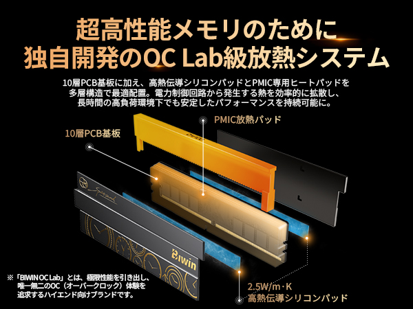 Amazon.co.jp: Biwin DW100 DDR5 6000MT/s (PC5-48000) 192GB (48GB×4