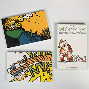 The Calvin and Hobbes Portable Compendium Set 4 (Volume 4